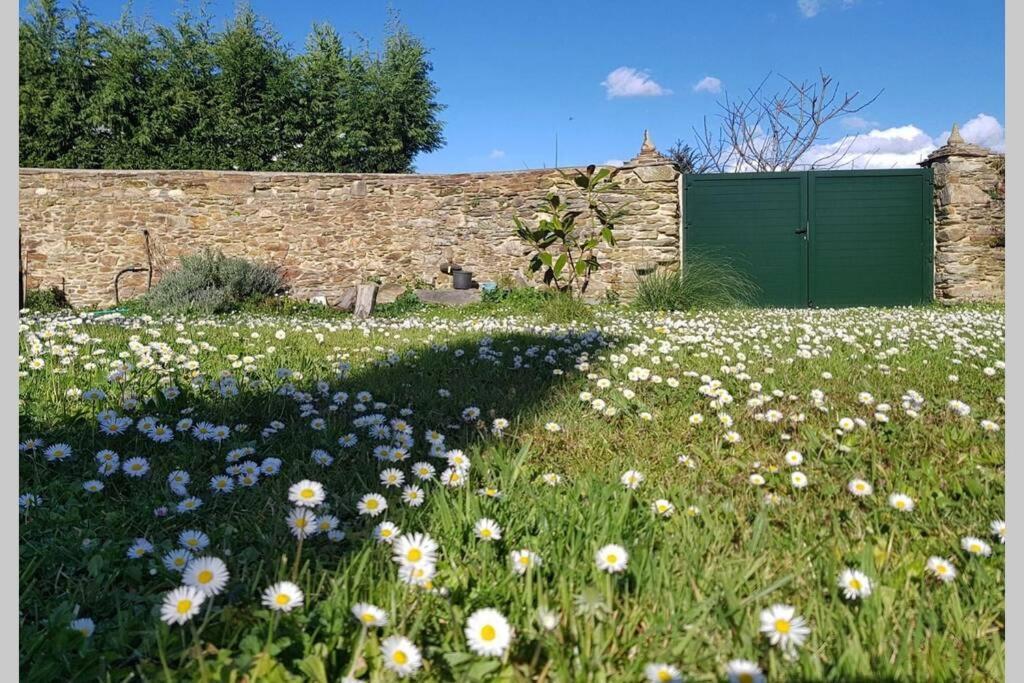 Estudio Pajar Rural Con Bonito Jardin - Los Gayoles Rural 卡斯特罗波尔 外观 照片